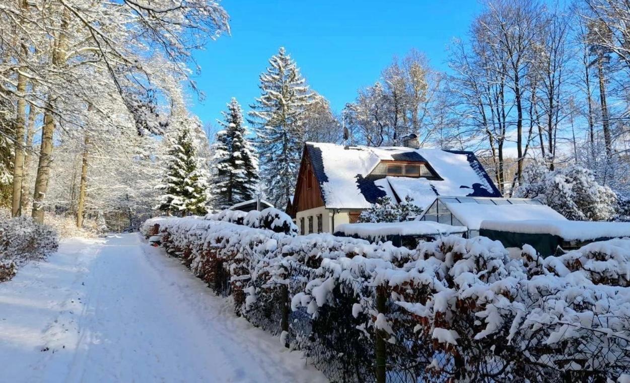 Ferienhaus Jaegerhaus Oppach Privathaus المظهر الخارجي الصورة